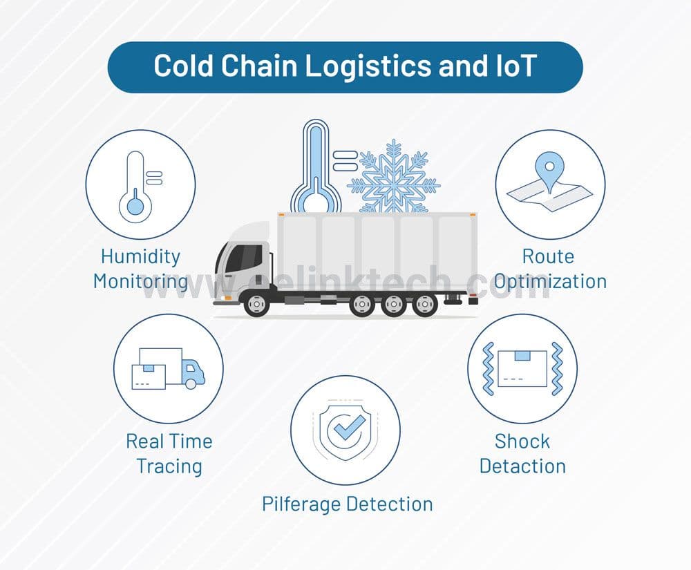 The Future of Cold Chain Logistics